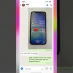 Ski Rental Shop Scammed? Locked to Owner iPhone Fix