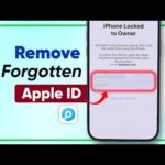 Forgot Apple ID (iCloud) Password? Here’s How to Regain Access to Your iPhone | 3 WAYS