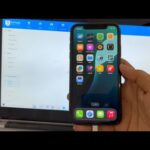iPhone 11 Pro iOS 26.0.1 iCloud Unlock | Unlocks Hub | Permanent